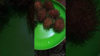 Rambutan musim hujan [upl. by Ettedo]