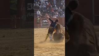 A punto de ser atropellado por el toro shorts EEUU bullfight [upl. by Kacey264]