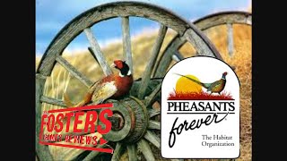 Pheasants forever Quick playreview wii [upl. by Race379]