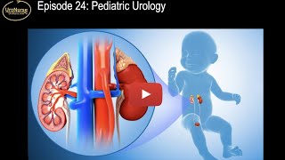 Episode 24 Pediatric Urology [upl. by Teddman]