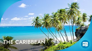 Best Cruises to Caribbean  2025  2026 Cruises  Norwegian Cruise Line [upl. by Akin]