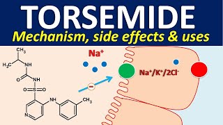 Torsemide  Mechanism side effects and uses [upl. by Harrad]