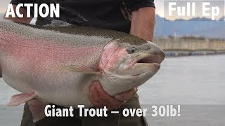 Giant Trout  Over 30lb [upl. by Lednar]