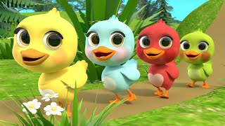 5 Little Ducks song  Newborn Baby Songs amp Nursery Rhymes [upl. by Hector]