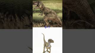 TRex vs velociraptor [upl. by Sevy]