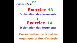 Exercice 13 Exercice 14 quotUnité 1  Consommation de la matière organique et flux d’énergiequot [upl. by Ennaegroeg]