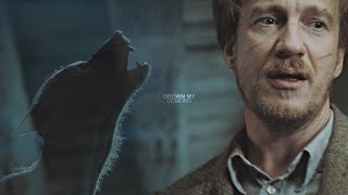 Remus Lupin  Drown my Demons [upl. by Demott359]