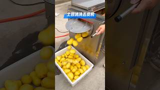 Brush cleaning and peeling machine [upl. by Dwaine]