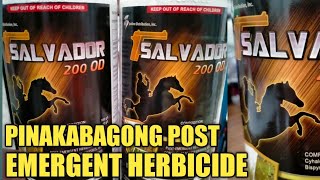 PINAKABAGONG POST EMERGENT HERBICIDE SALVADOR 200 OD [upl. by Sabanrab174]