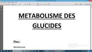 Métabolisme des glucides 1 [upl. by Atileda771]