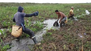 Pescaria de socÃ³ ou choque na baixada maranhensemuitas piranhas [upl. by Massimiliano456]