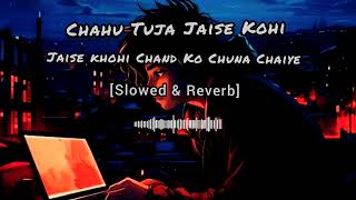 Chahun Tujhe Jaise Kohi Jaise Kohi Chand Ko Chuna Chaiye Lofi Song Slowed amp Reverb [upl. by Ralfston]