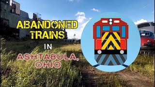 Mr P Explores Abandoned Trains in Ashtabula OH [upl. by Leiuqese]