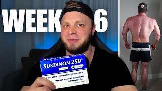 Prohormone Sustanon 250 4andro Review l WEEK 6  Cutting [upl. by Acacia]