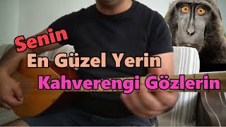 Saz Kahverengi Gözlerin Re Karar [upl. by Drucie336]