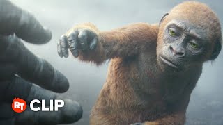 Godzilla x Kong The New Empire Movie Clip  A Helping Hand 2024 [upl. by Ahsilra800]