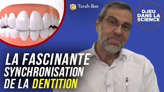 LA FASCINANTE SYNCHRONISATION DES DENTS 🦷 [upl. by Dirgis]