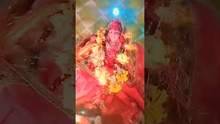 Jai shree Laxmi ji🙏🏼 Laxmi Narayan 🙏🏼shots video trending [upl. by Rehptsirhc]