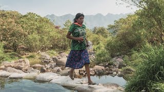 An athlete whose indigenous skills helped make her a marathon star [upl. by Ahseina]