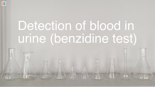 66 Detection of blood in urine benzidine test [upl. by Retsevlis]