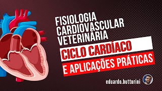 Ciclo cardíaco e aplicações práticas aula 3  Fisiologia cardiovascular [upl. by Leahcir57]