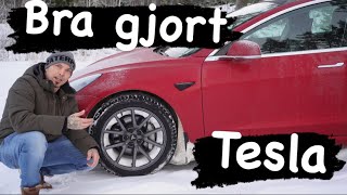 Tesla model 3 som vinterbil [upl. by Ellerred]