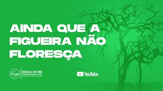 AINDA QUE A FIGUEIRA NÃO FLORESÇA  MINISTRO DANIEL RIBAS [upl. by Speroni]