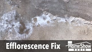 What can I do to stop efflorescence from eating my garage floor [upl. by Anihta120]