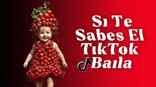 SI TE SABES EL TIKTOK BAILA  2024 [upl. by Hereld]