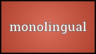 Monolingual Meaning [upl. by Gunas716]