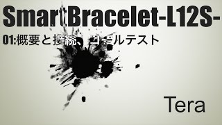 Tera SmartBraceletL12S01概要と接続、コールテスト [upl. by Natsyrt966]