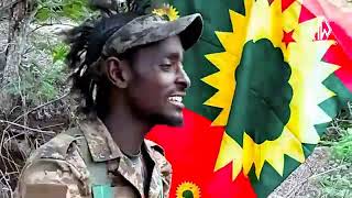 Wallee Jaal Dachee Gammachuu KILAASHIIKOO New Oromo music 2023 [upl. by Benni]