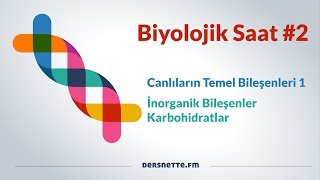 Biyolojik Saat 2  Canlıların Temel Bileşenleri 1 [upl. by Drahsir]