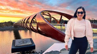 A Must Visit Peace Bridge in Calgary 🇨🇦Architectural Attraction in Calgary Tourist Spot in Canada [upl. by Enitsyrk]