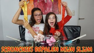 SCRUNCHIES BEPALEN MIJN SLIJM CHALLENGE met PIEN  Bibi [upl. by Kelwunn]