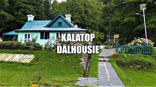 View at Kalatop Dalhousie  Forest Rest House  Chamba  Himachal  Travel  Vlog  Himalayas [upl. by Siver]