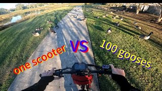 hit 60 mph on the scooter [upl. by Krm]