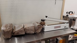 How to inoculate and seal a 5lb sawdust blockspawn bag for home mushroom cultivation [upl. by Ahsimrac471]