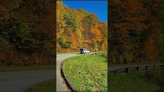 Fall in the Smokies is Paradise explore nature shorts fallfoliage viralvideo travel fyp wow [upl. by Sacha]