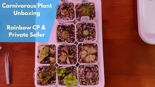 MyPingtopiacom  Carnivorous Plant Unboxing from Rainbow and Private Seller [upl. by Ssidnac846]