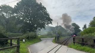 Vale of Rheidol Railway no 8 Llywelyn at Capel Bangor September 2024 [upl. by Ryley]