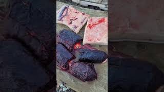 its whale meat real meat [upl. by Ladew]