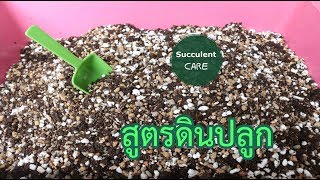 ดินปลูกสูตร Succulent Care [upl. by Pinchas]