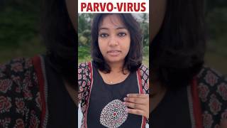 Parvo virus symptoms amp Treatment parvovirus parvodogstreatment [upl. by Abbye]