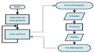 Estructura Básica de un Programa [upl. by Aniloj]