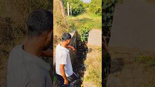 Gaon mein purane sinchai ke sadhan⛰️💧shorts tree knowledge minivlogs jitux36vlogs [upl. by Seaden]