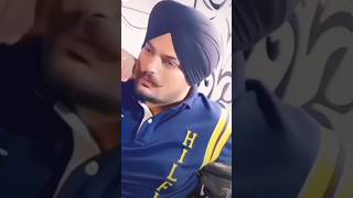 new viralvideo sidhumoosewala new virlsong [upl. by Martin36]