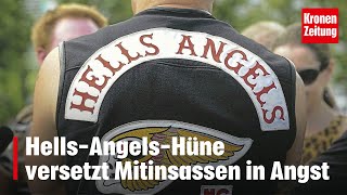 In Wiener Häfn HellsAngelsHüne versetzt Mitinsassen in Angst  kronetv NEWS [upl. by Nilyahs]