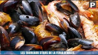 Les taureaux stars de la feria dArles [upl. by Alys]