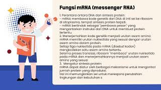 Sintesis Protein kelompok 3 [upl. by Aneerhs]